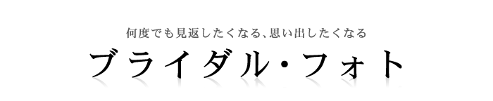 ���x�ł����Ԃ������Ȃ�A�v���o�������Ȃ�u���C�_���t�H�g